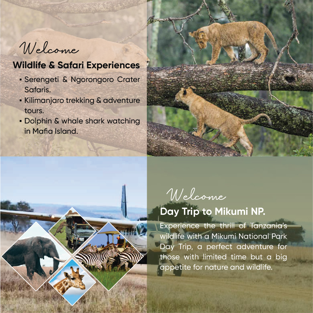 Arusha · Serengeti · Ngorongoro · Arusha