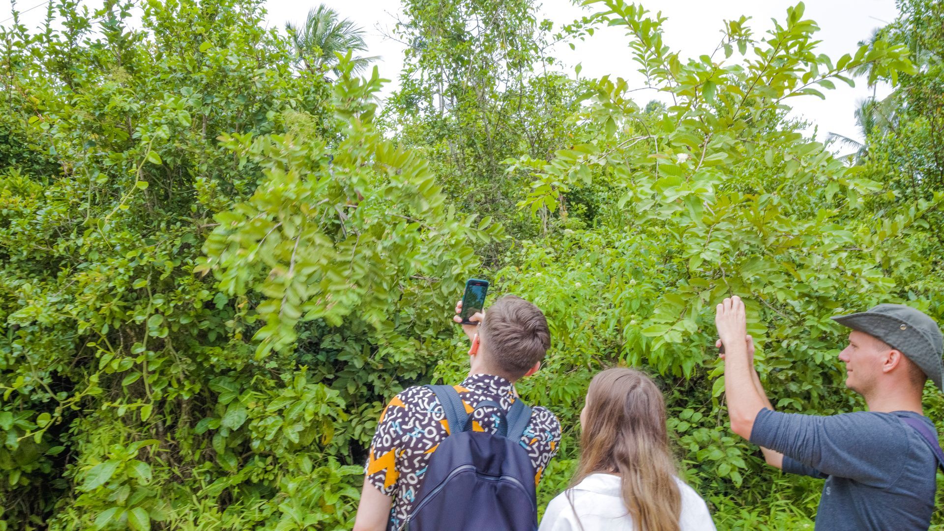 Curated Experiences & Excursions