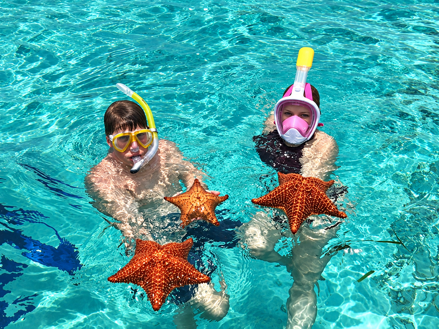 Starfish & Snorkeling