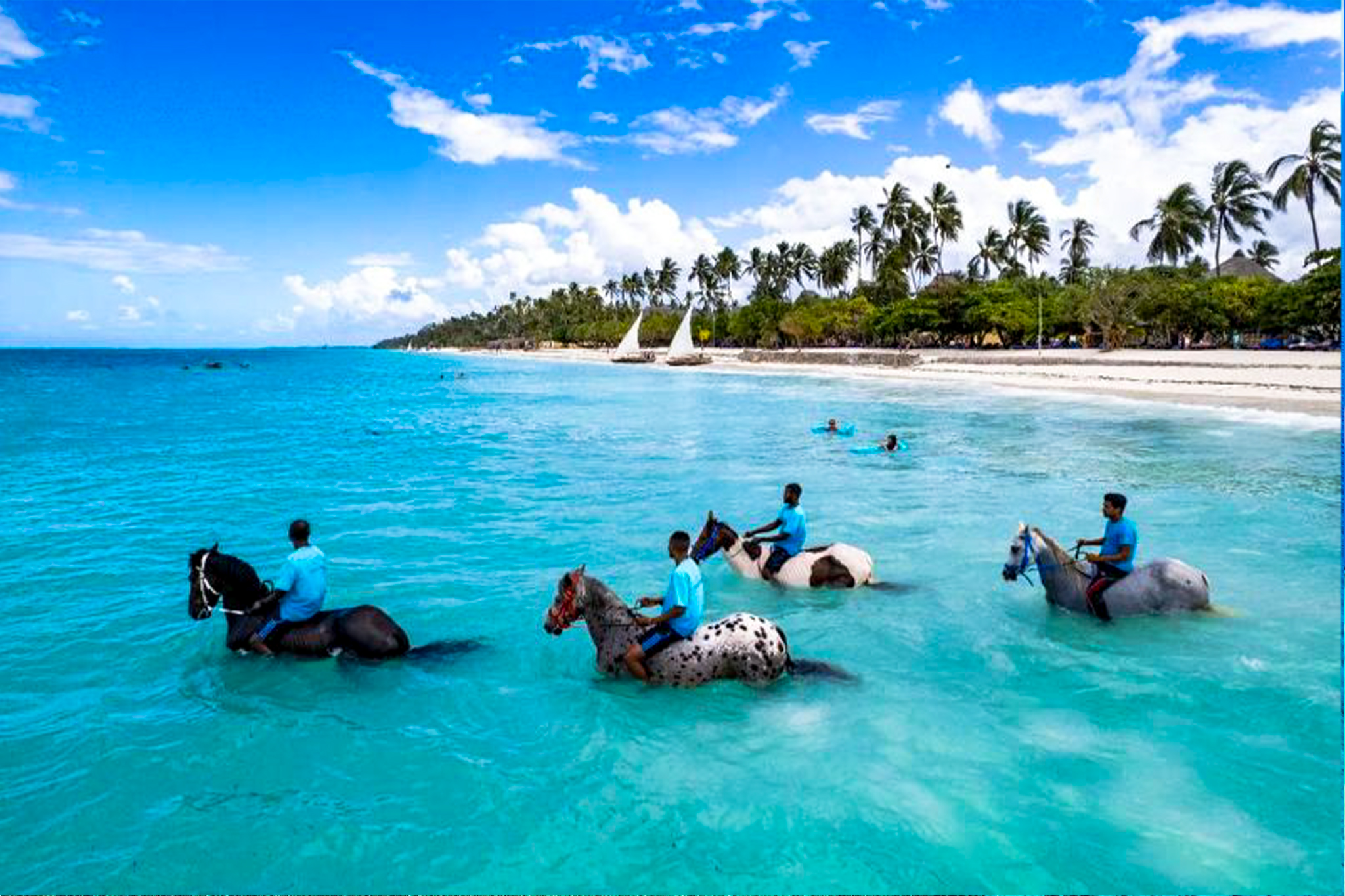Horse Riding